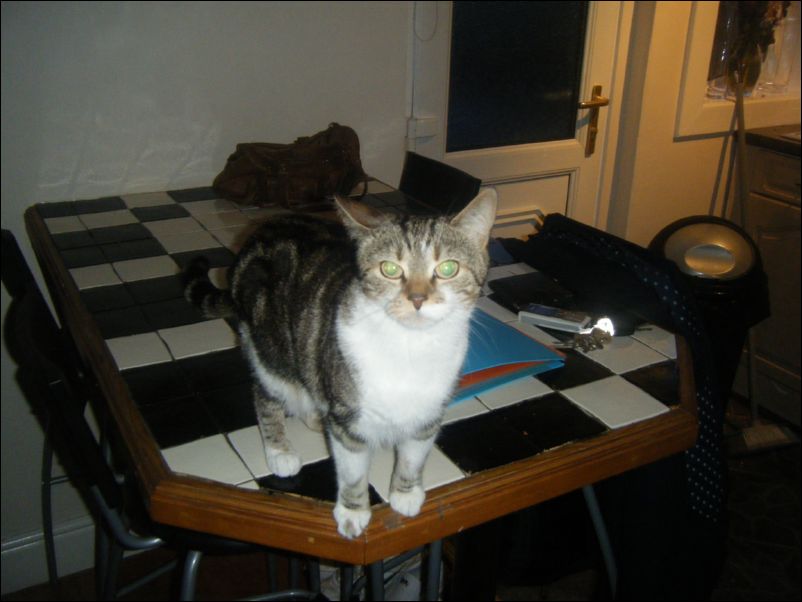 Dont ask its Lorna's pussy