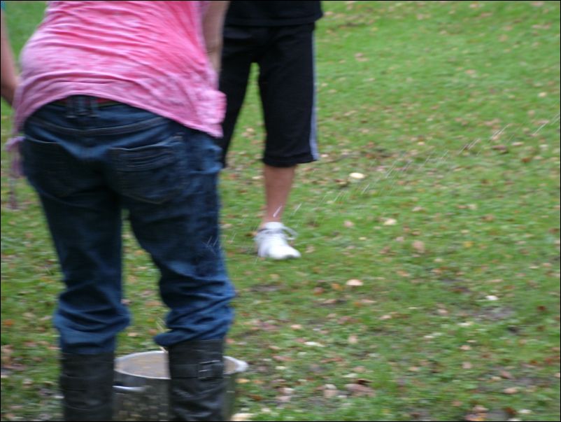 DSCF8437