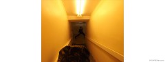 DSCF1202