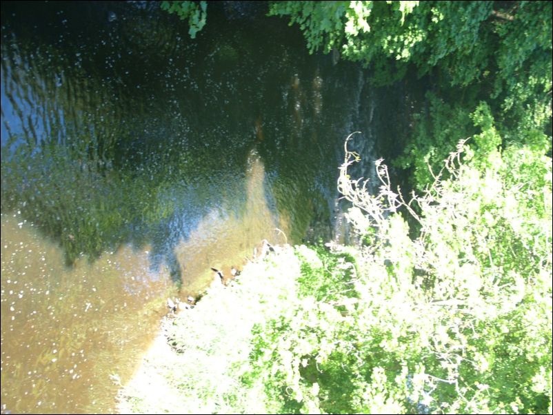DSCF5324